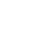 lilibox-secure-icon